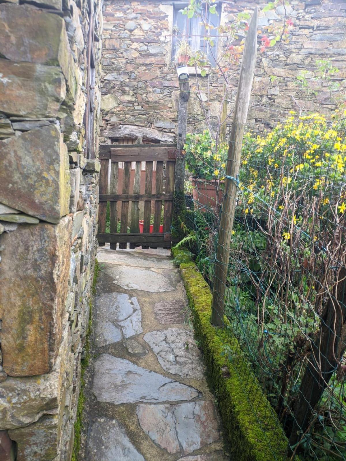 Casa Do Pastor Villa Lousã Buitenkant foto