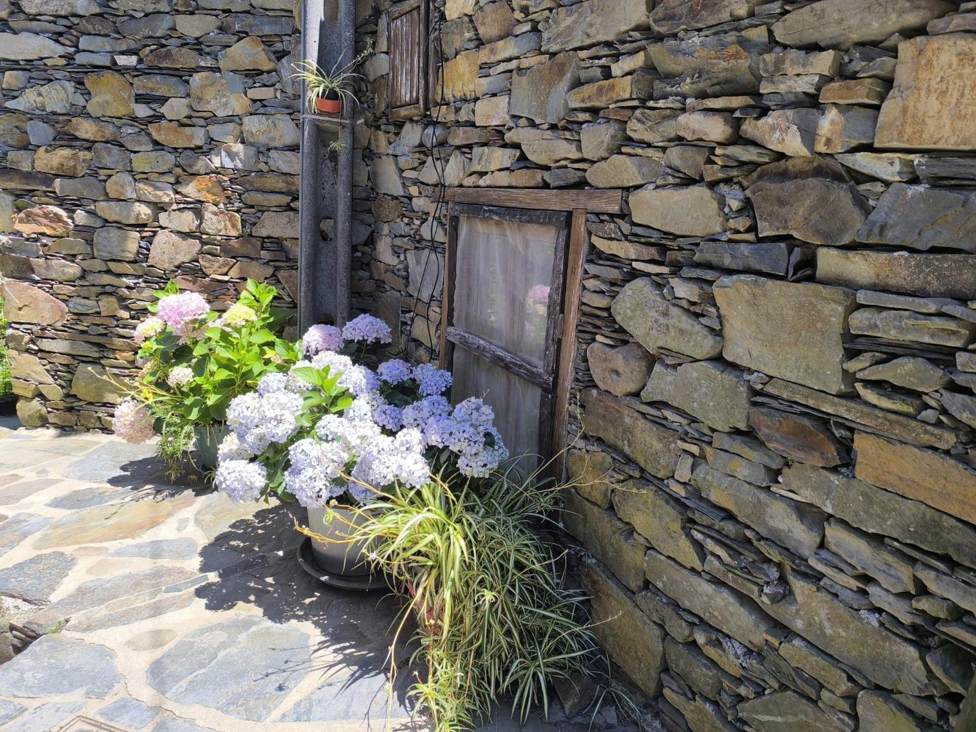Casa Do Pastor Villa Lousã Buitenkant foto